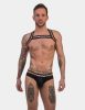 Harness Barcode Pride Edition