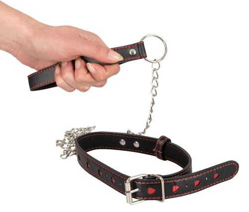 Bad Kitty Collar And Leash