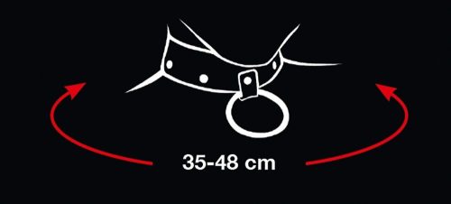 Bad Kitty Collar And Leash