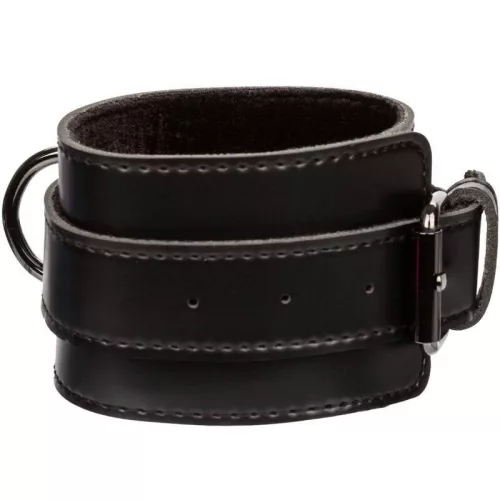 CALEXOTICS - EUPHORIA DISZNÓNYAKKENDŐ