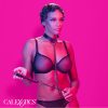 CALEXOTICS - EUPHORIA LÁNC HALTER NYAKÖRV ÉS PÓRÁZ