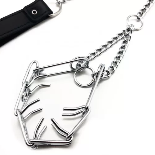 Póráz péniszhez - prémium nyakörv kiegészítővel