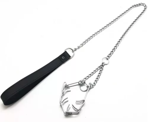 Póráz péniszhez - prémium nyakörv kiegészítővel