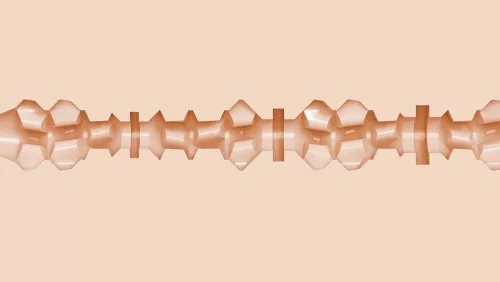 Fleshjack Boys Cade Maddox Alpha