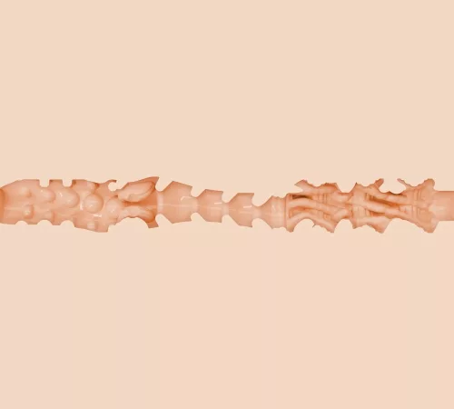 Fleshlight Girls Bonnie Blue 1K