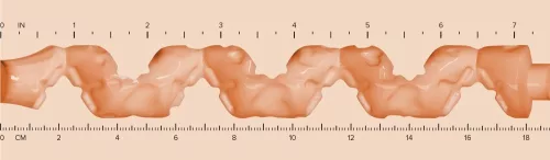 Fleshlight Fantasy Lexi Amakura Dojikko