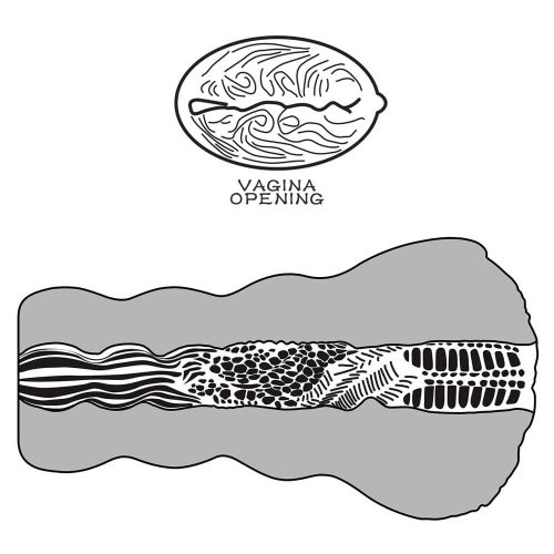 Alien's Pie Masturbator #3 Black_B15O50_3