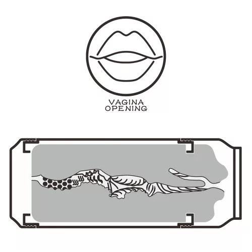 Pleasure Brew Masturbator-Cream Ale