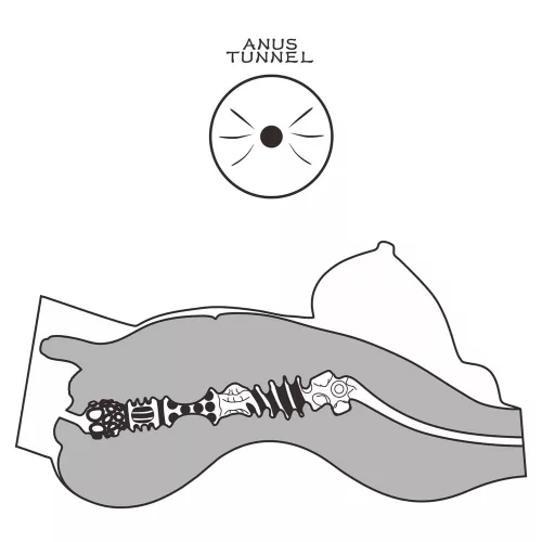 Streetgirl's #8 Black_B0O50_1