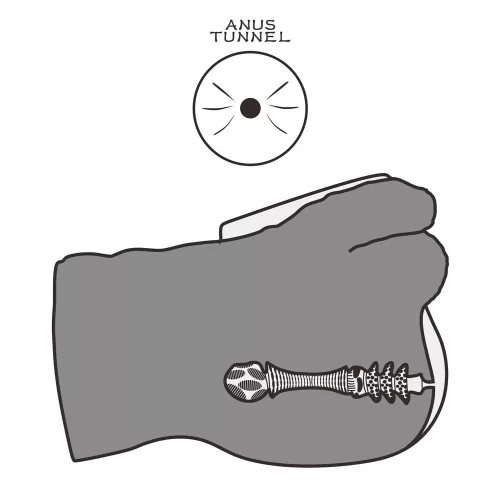 Streetgirl's #16 met Dildo