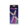 Spectra Bondage - Hogtie - Rainbow_B15O25_2