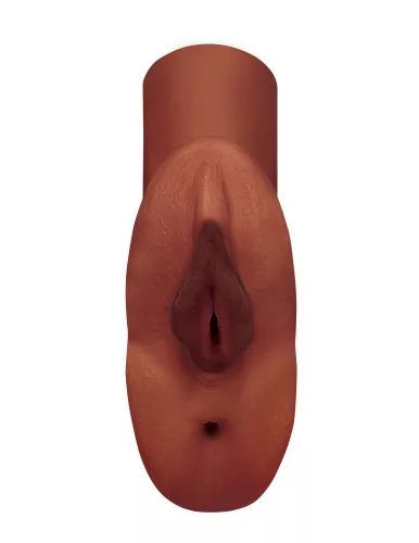 Perfecte Poes Dubbele Streper Bruin