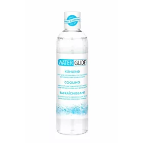 WATERGLIDE 300ML KOELING